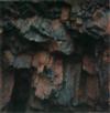 ADAMS, ANSEL (1902-1984) Triptych with 3 color studies: Rusted Metal * Leaves * Red Rock.